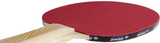 Donic schildkrot Legends 150 Racket